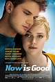 Now Is Good Cast