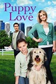 Puppy Love (2012) — The Movie Database (TMDB)