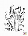 Dibujo de cactus desierto para colorear | Para-Colorear.com