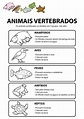 Animais vertebrados e invertebrados - Atividade 2 - Fichas e Atividades