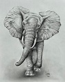 Elephant Pencil Drawing, Elephant Wall Art, Elephant Home Decor ...