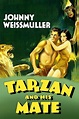 Tarzan and His Mate (1934) — The Movie Database (TMDb)
