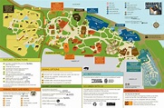 Find Your Bearings | Plan Your Visit | Indianapolis Zoo