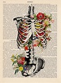 Anatomy print Medical poster Vintage Illustration / Skeleton | Etsy ...