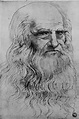 Dibujos Faciles De Leonardo Da Vinci 47+ Images Result | Dosoka
