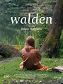 News du film Walden - AlloCiné