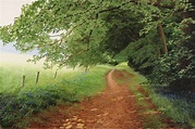 Michael James Smith, Dappled Light, Yorkshire, original oil painting on ...