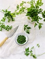 How to Chop & Store Parsley (Fresh All Week!) - Familystyle Food