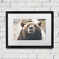 Bear Frame – Tography