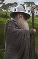 Image - The Lord of The Rings - Gandalf The Grey.png | Death Battle ...