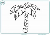 Dibujo De Palmera 4 Para Colorear Dibujos Para Colore - vrogue.co