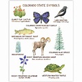 Colorado State Symbols Art Print | Colorado art prints, Colorado art ...