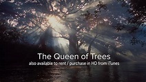 The Queen of Trees - OFFICIAL - YouTube