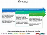 Captación del Agua de Lluvia en la Educación Ambiental – Ecología ...