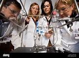 Los científicos del Departamento de Química Industrial y materiales de ...