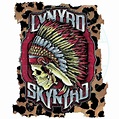Lynard Skynard, Rock And Roll Bands, Rock Bands, Indian Skull, Country ...