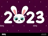 2023 Año de conejo. Ilustración de dibujos animados vectoriales del Año ...