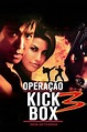 Operação Kickbox 3 - Sem Retorno Dublado Online - The Night Séries