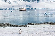 10 Best Things to do in King George Island, Antarctica - King George ...