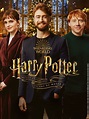 Harry Potter : Retour à Poudlard | TF1