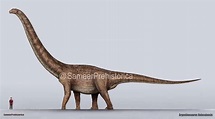 Argentinosaurus Size by SameerPrehistorica on DeviantArt