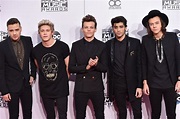 One Direction Reigns at American Music Awards 2014 || Full List of ...