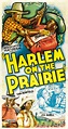 Harlem on the Prairie, 1937 | Cartoon profile pics, Harlem, Masterpiece ...