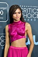 Zendaya Coleman - Sexy Dress at 25th Annual Critics Choice Awards in ...