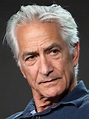 David Strathairn Pictures - Rotten Tomatoes