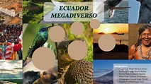 Ecuador megadiverso by Jessy Villamagua on Prezi