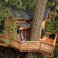 34 Stunning Tree House Designs You Never Seen Before - MAGZHOUSE