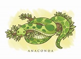 Ejemplo Verde Del Vector De La Historieta De La Anaconda De La | Images ...
