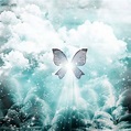 Interpretation of dream symbol 'butterfly': - DreamsWiki