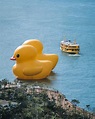 橡皮鴨二重暢｜DOUBLE DUCKS｜黃色巨鴨 Rubber Duck裝置藝術展覽2023