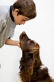 Muchacho y su perro imagen de archivo. Imagen de mirando - 31147733