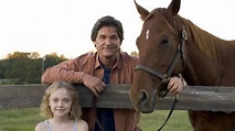 The 10 Best Horse Racing Films of All Time - Rainbow Run Farm
