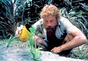 Robinson Crusoe por un año (1987)