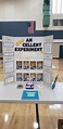 Science Fair – Student Events – Calaveras County Office Of Education