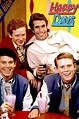 DIAS FELICES (HAPPY DAYS) - EL LOCO RETRO