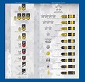 Vice Admiral Vs. Rear Admiral and More - Officer Assignments