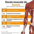 Escala muscular de Daniels:Para la evaluación de fuerza muscular ...
