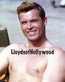 Ty Hardin Handsome Hollywood Hunk Bronco TV Star Beefcake Photograph ...