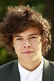 Why Did Harry Styles Cut His Hair / Harry Styles New Haircut Backlash ...