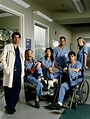 season 1 cast3 - Grey's Anatomy Photo (37540285) - Fanpop