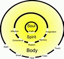 Spirit Soul And Body Diagram