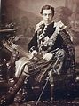 Prince Leopold, Duke of Albany 1853-1884. | Queen victoria family ...