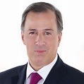 Jose Antonio Meade Kuribreña | Secretaría de Hacienda y Crédito Público ...
