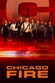 Ver Serie Chicago Fire Temporada 9 gratis online HD - SeriesManta.in