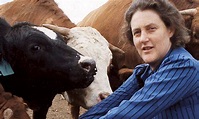 Temple Grandin on Thinking Like a Cow - YES! Magazine