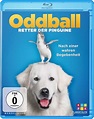 Oddball - Retter der Pinguine (Blu-ray) – jpc